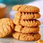 Gluten Free and Dairy Free Peanut Butter Cookies 3 gluten free and dairy free peanut butter cookies 2025 09 25 152414 150x150 1